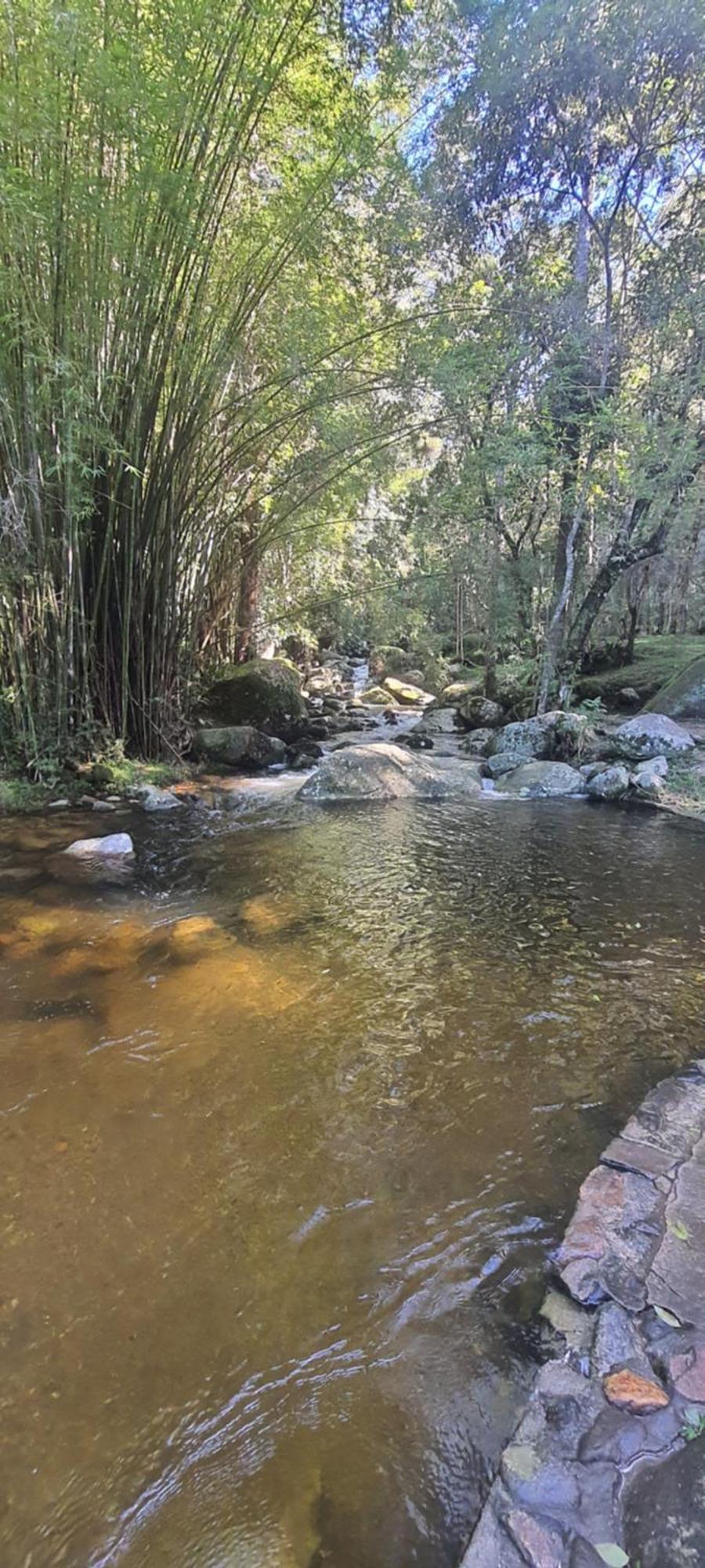 Ap Centro Cascatinha Prox Parque Appartement Nova Friburgo Buitenkant foto